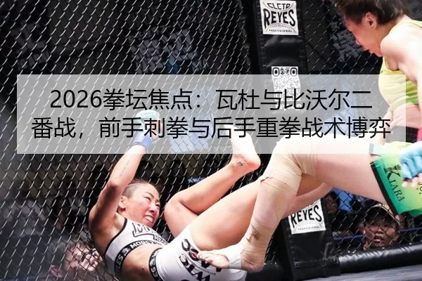 2026拳坛焦点：瓦杜与比沃尔二番战，前手刺拳与后手重拳战术博弈